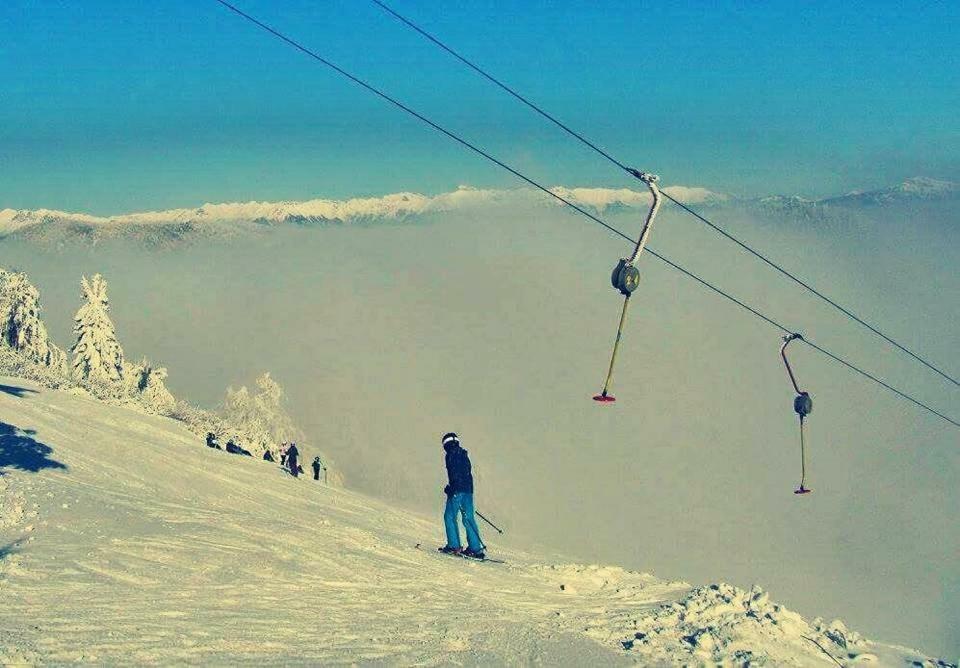 Apartma Alpski Vrt Vojsko Exteriér fotografie